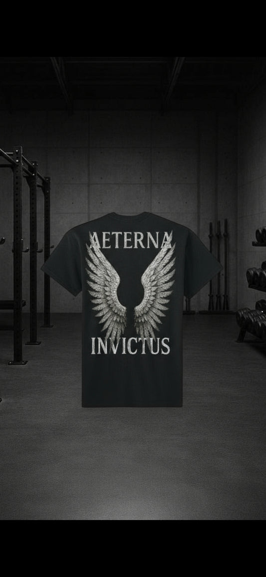 Unconquered Heavyweight Drop Shoulder